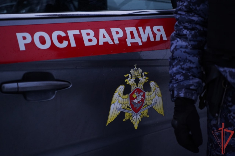 В Санкт-Петербурге росгвардейцы первыми оказались на месте ДТП и вызвали скорую для пострадавшего ребенка